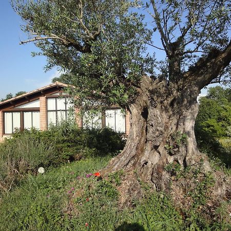 Chalet Domaine De Combe Ramond Hotel Veilhes Zewnętrze zdjęcie