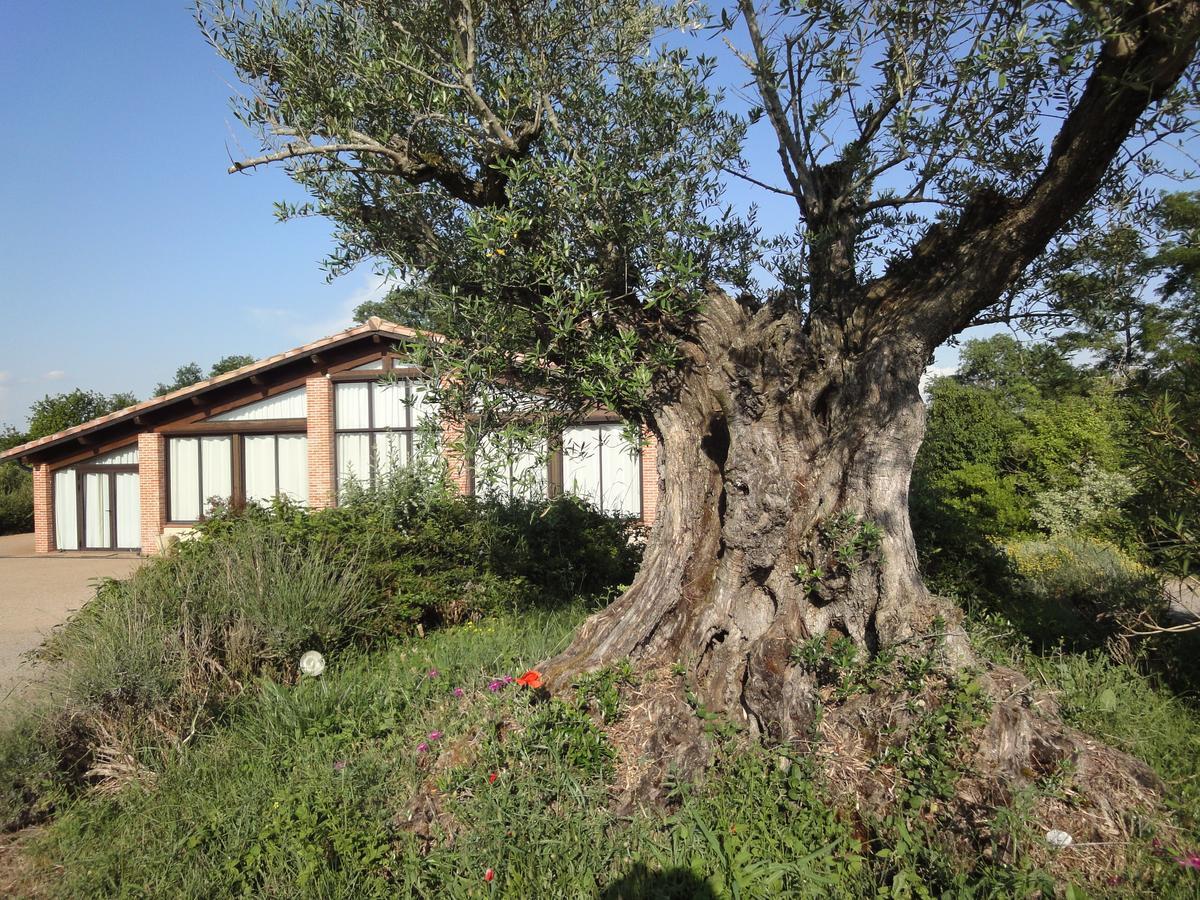 Chalet Domaine De Combe Ramond Hotel Veilhes Zewnętrze zdjęcie