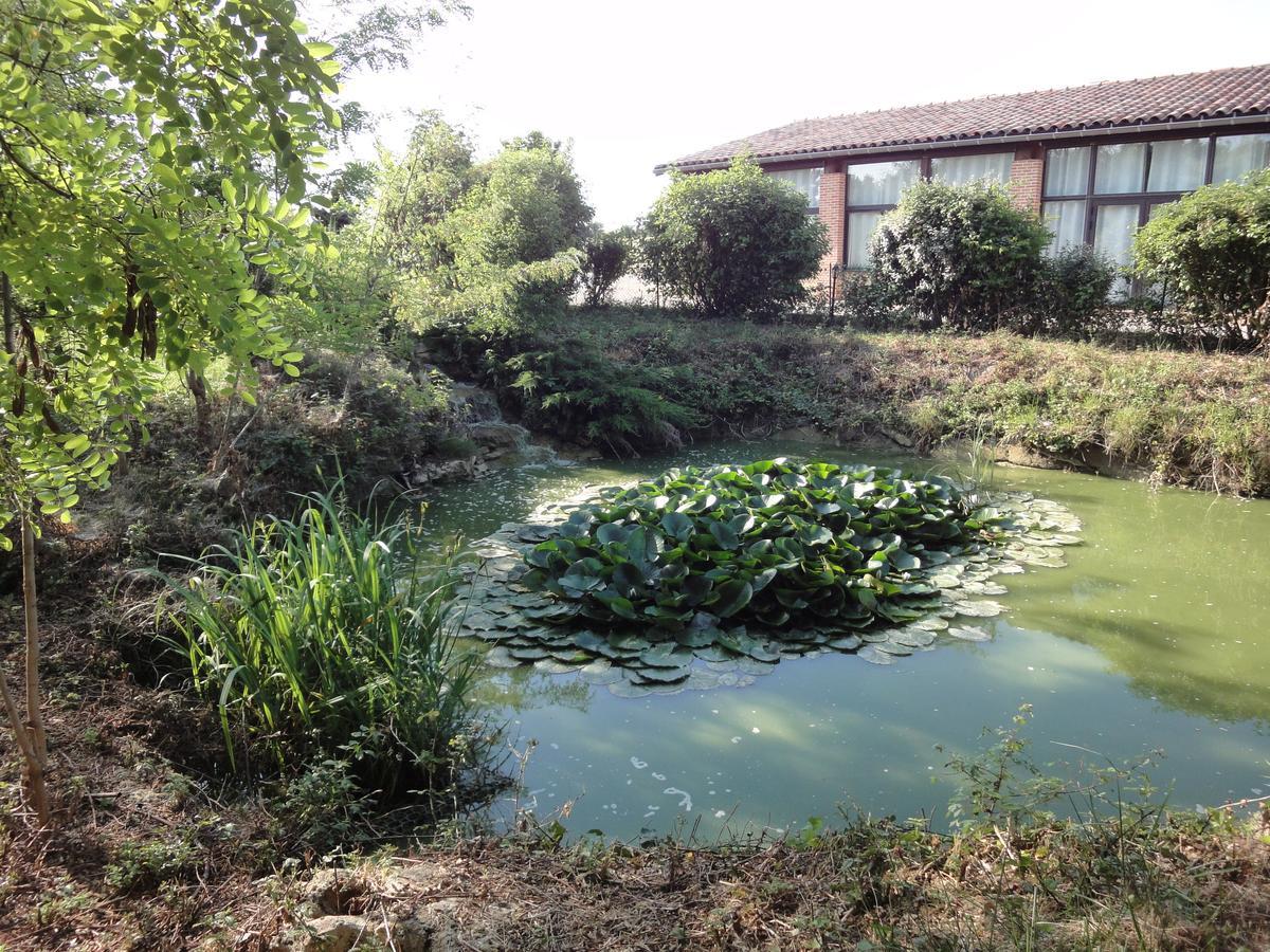 Chalet Domaine De Combe Ramond Hotel Veilhes Zewnętrze zdjęcie